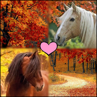 Icones, chevaux, nature d'automne